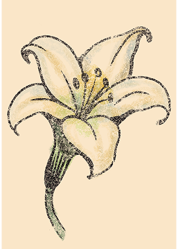 azucena